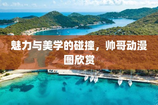魅力与美学的碰撞，帅哥动漫图欣赏