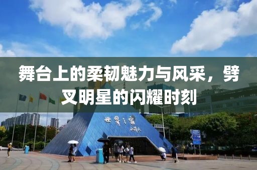 舞台上的柔韧魅力与风采，劈叉明星的闪耀时刻