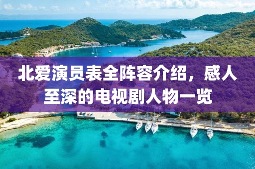 北爱演员表全阵容介绍，感人至深的电视剧人物一览