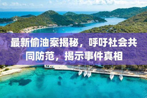 最新偷油案揭秘，呼吁社会共同防范，揭示事件真相