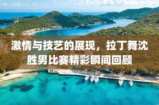 激情与技艺的展现，拉丁舞沈胜男比赛精彩瞬间回顾