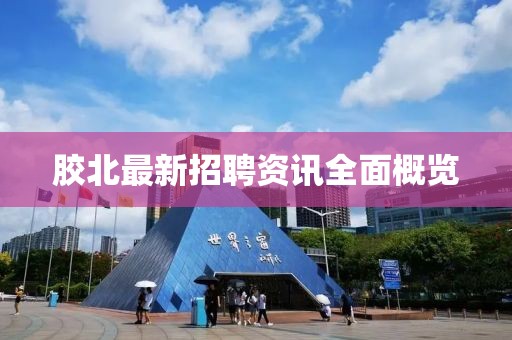 胶北最新招聘资讯全面概览