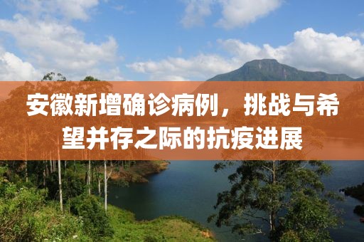 安徽新增确诊病例，挑战与希望并存之际的抗疫进展
