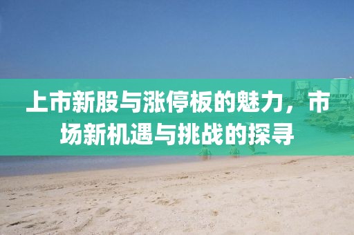 上市新股与涨停板的魅力，市场新机遇与挑战的探寻