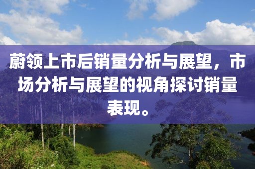 蔚领上市后销量分析与展望，市场分析与展望的视角探讨销量表现。