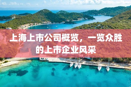 上海上市公司概览，一览众胜的上市企业风采