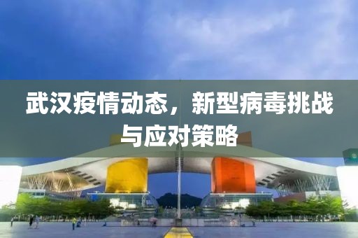 武汉疫情动态，新型病毒挑战与应对策略