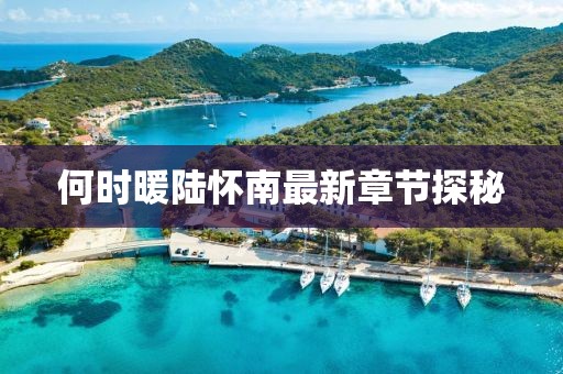何时暖陆怀南最新章节探秘