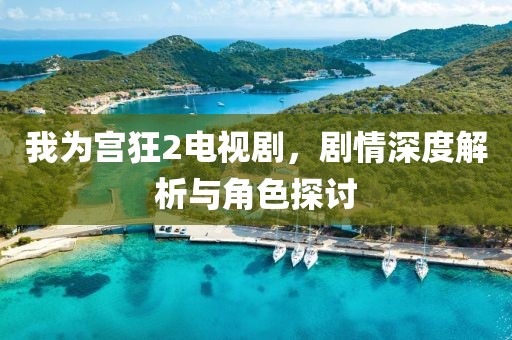 我为宫狂2电视剧，剧情深度解析与角色探讨