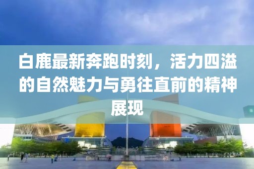 白鹿最新奔跑时刻，活力四溢的自然魅力与勇往直前的精神展现