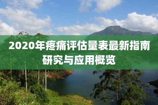 2020年疼痛评估量表最新指南研究与应用概览