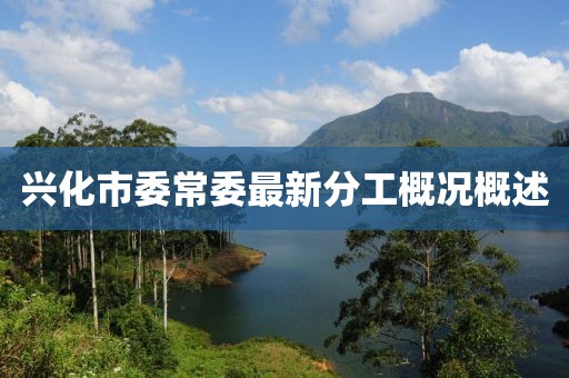 兴化市委常委最新分工概况概述