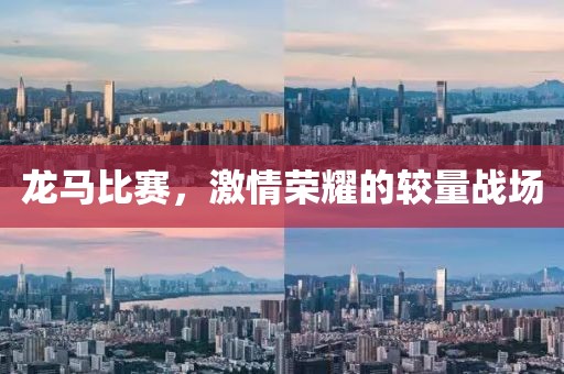龙马比赛，激情荣耀的较量战场