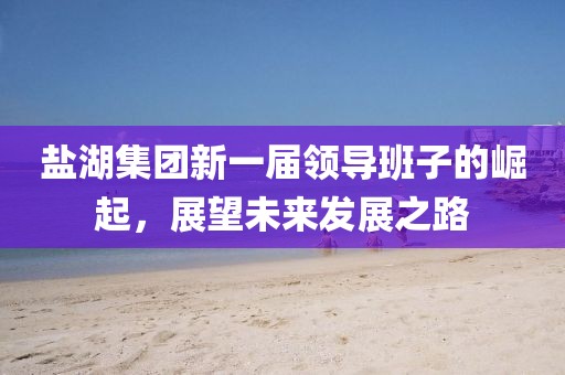 盐湖集团新一届领导班子的崛起，展望未来发展之路