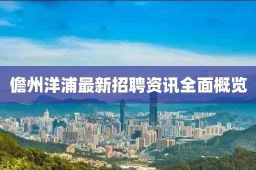 儋州洋浦最新招聘资讯全面概览