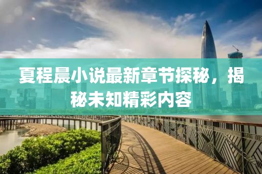 夏程晨小说最新章节探秘，揭秘未知精彩内容