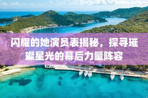 闪耀的她演员表揭秘，探寻璀璨星光的幕后力量阵容