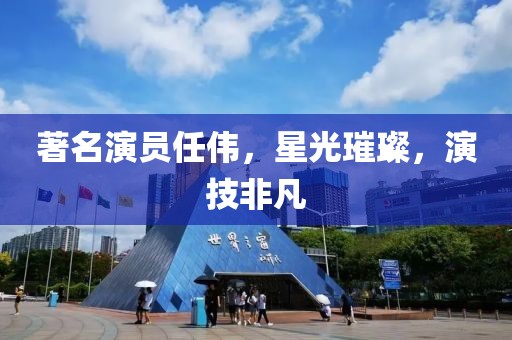 著名演员任伟，星光璀璨，演技非凡
