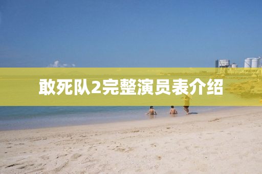敢死队2完整演员表介绍