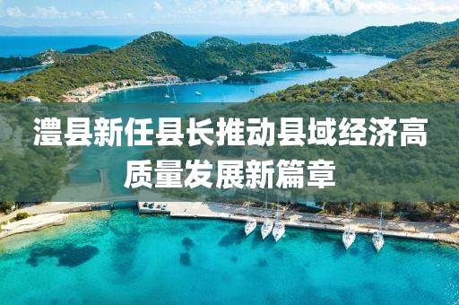 澧县新任县长推动县域经济高质量发展新篇章
