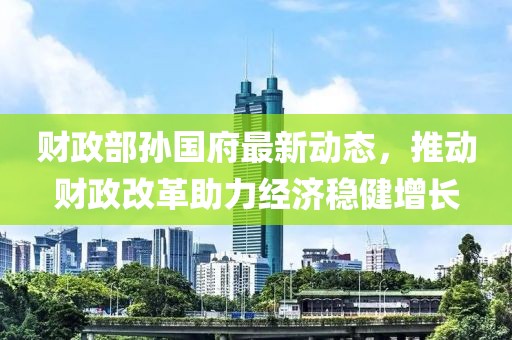 财政部孙国府最新动态，推动财政改革助力经济稳健增长