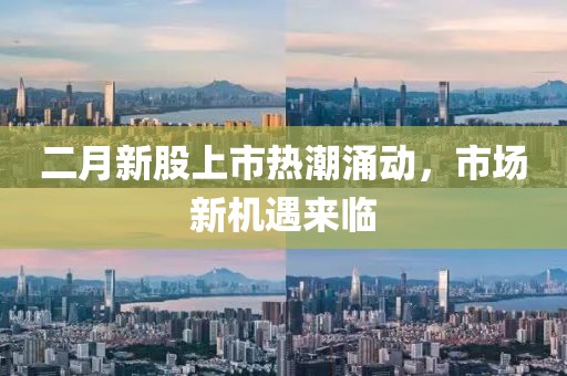 二月新股上市热潮涌动，市场新机遇来临