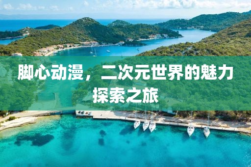 脚心动漫，二次元世界的魅力探索之旅