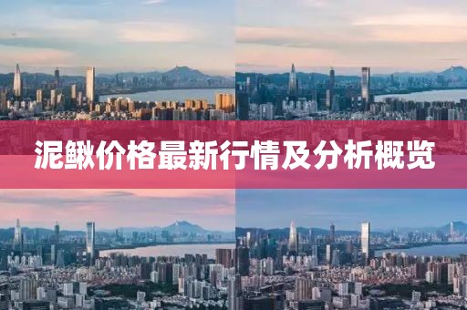 泥鳅价格最新行情及分析概览