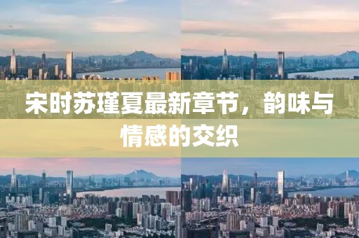 宋时苏瑾夏最新章节，韵味与情感的交织