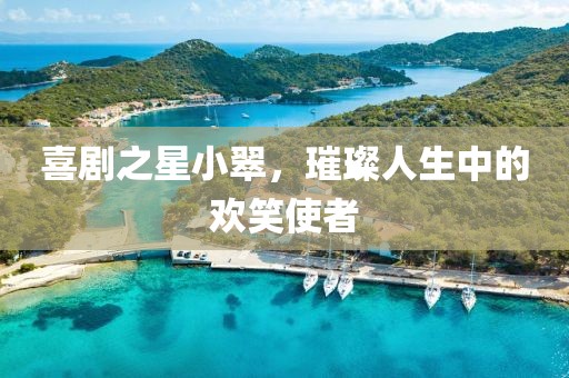 喜剧之星小翠，璀璨人生中的欢笑使者
