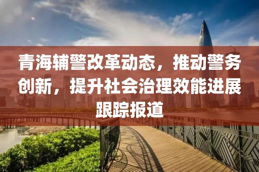 青海辅警改革动态，推动警务创新，提升社会治理效能进展跟踪报道