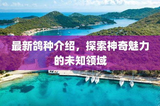 最新鸽种介绍，探索神奇魅力的未知领域