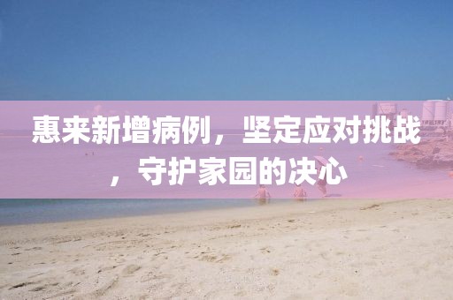 惠来新增病例，坚定应对挑战，守护家园的决心