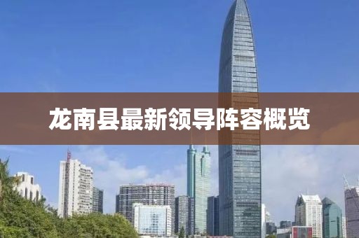 龙南县最新领导阵容概览