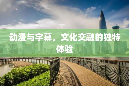 动漫与字幕，文化交融的独特体验