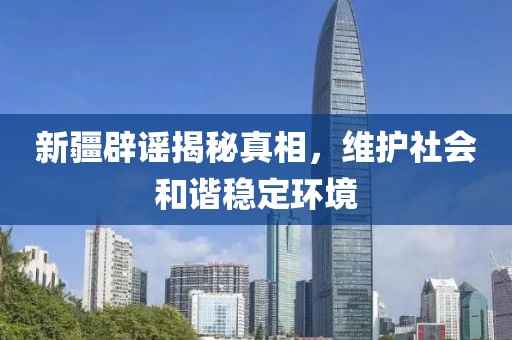 新疆辟谣揭秘真相，维护社会和谐稳定环境