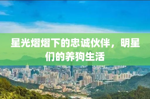 星光熠熠下的忠诚伙伴，明星们的养狗生活