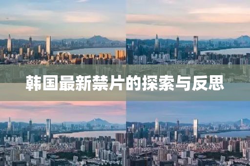 韩国最新禁片的探索与反思