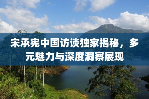 宋承宪中国访谈独家揭秘，多元魅力与深度洞察展现