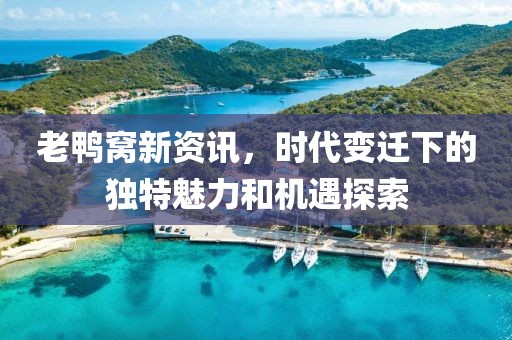 老鸭窝新资讯，时代变迁下的独特魅力和机遇探索
