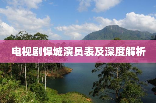 电视剧悍城演员表及深度解析