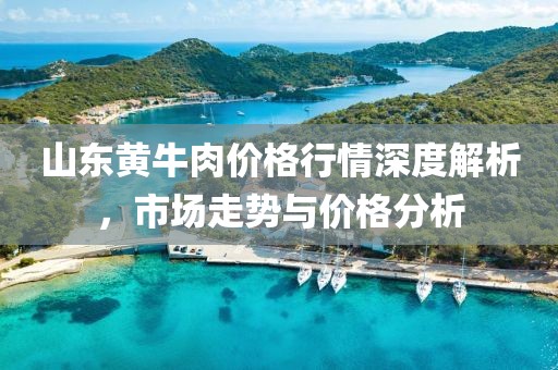 山东黄牛肉价格行情深度解析，市场走势与价格分析