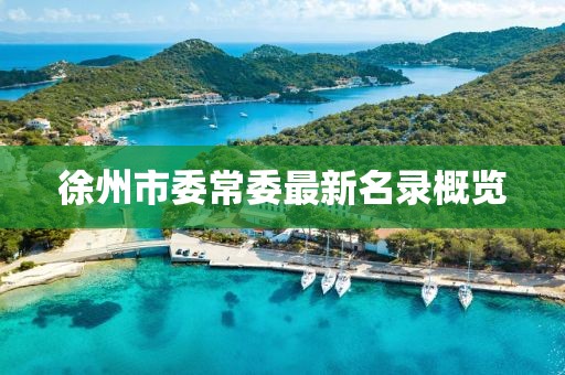 徐州市委常委最新名录概览