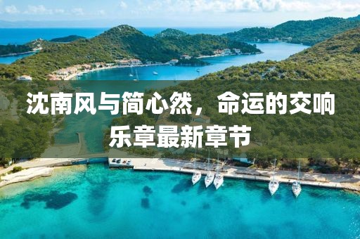 沈南风与简心然，命运的交响乐章最新章节
