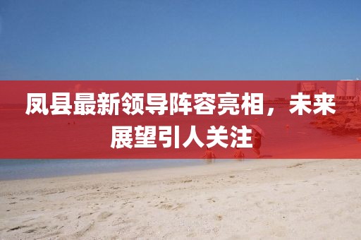 凤县最新领导阵容亮相，未来展望引人关注