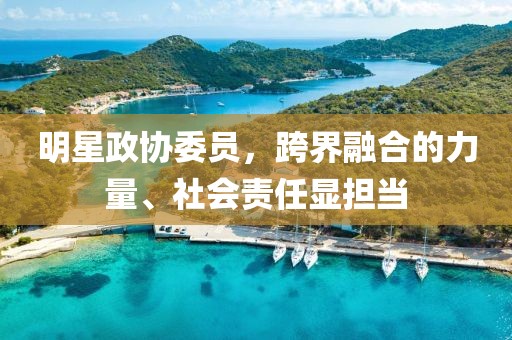 明星政协委员，跨界融合的力量、社会责任显担当