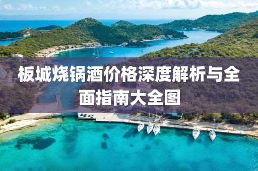 板城烧锅酒价格深度解析与全面指南大全图