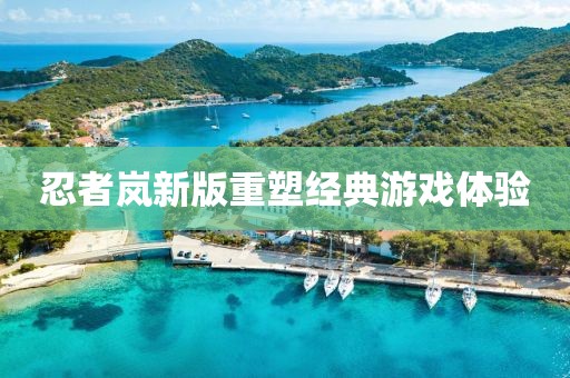 忍者岚新版重塑经典游戏体验