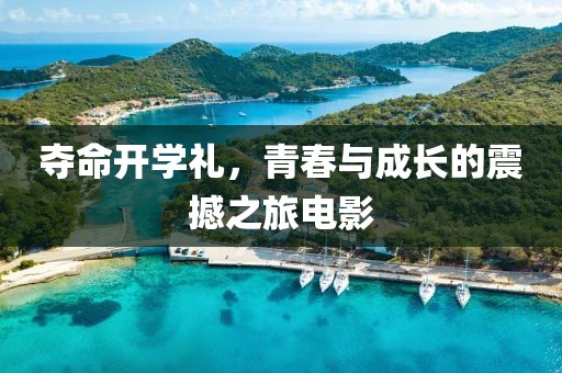 夺命开学礼，青春与成长的震撼之旅电影