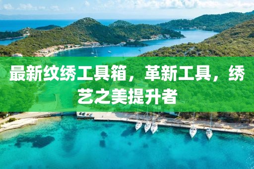 最新纹绣工具箱，革新工具，绣艺之美提升者